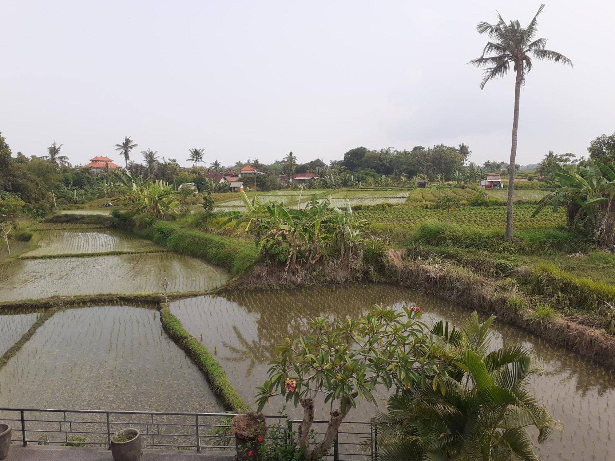 Privatunterkunft Griya Bun Sari