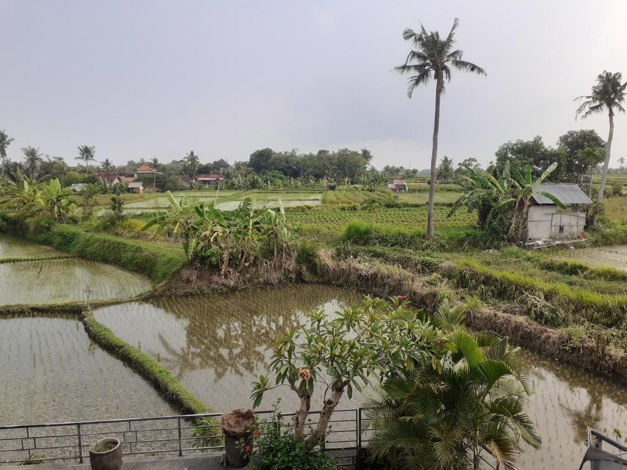 Privatunterkunft Griya Bun Sari Sukawati