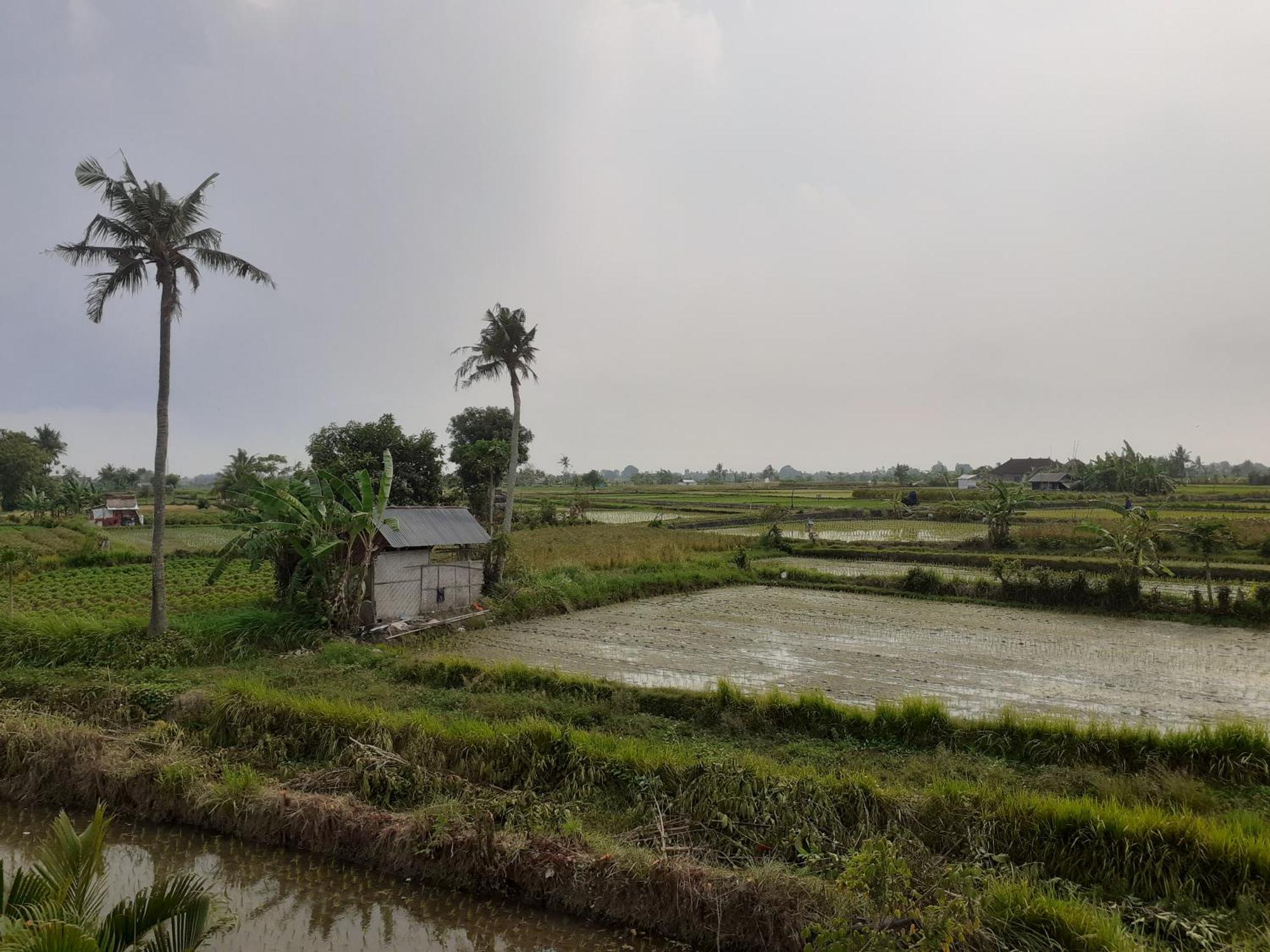 Griya Bun Sari * Sukawati