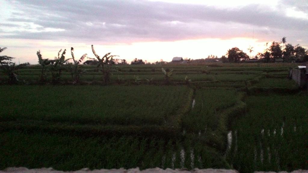 Griya Bun Sari Privatunterkunft Sukawati