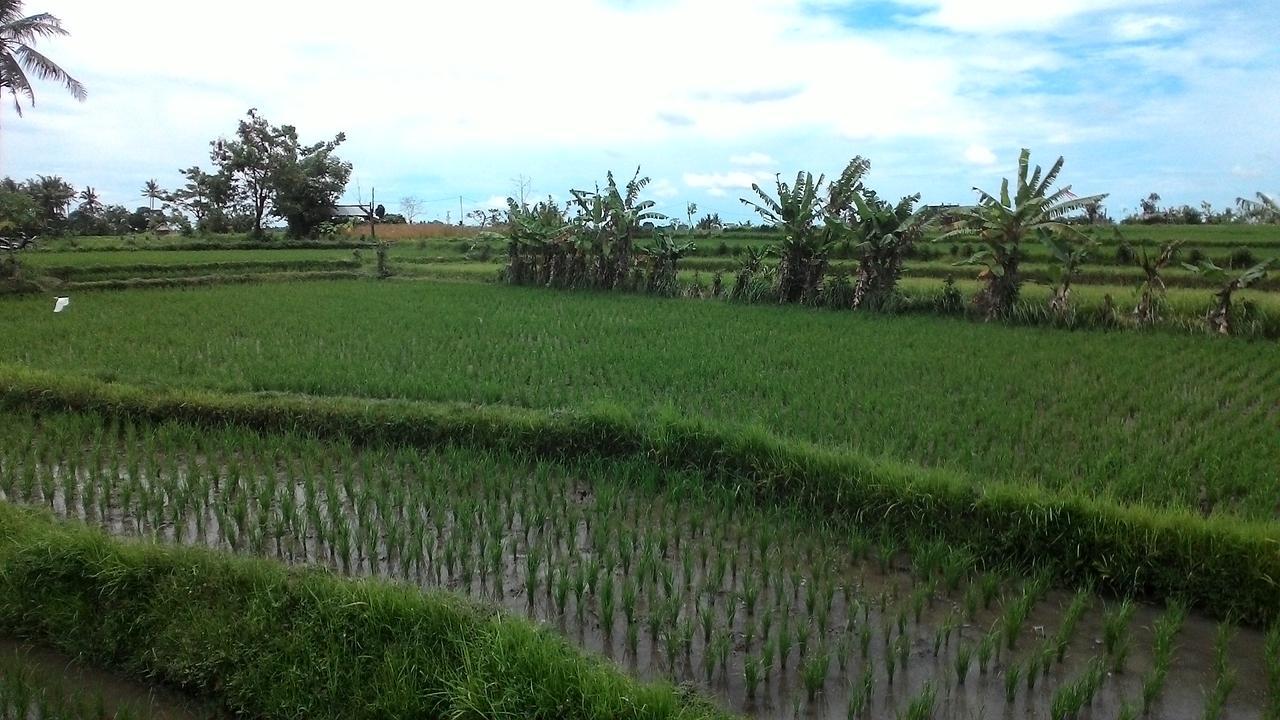 Griya Bun Sari Sukawati